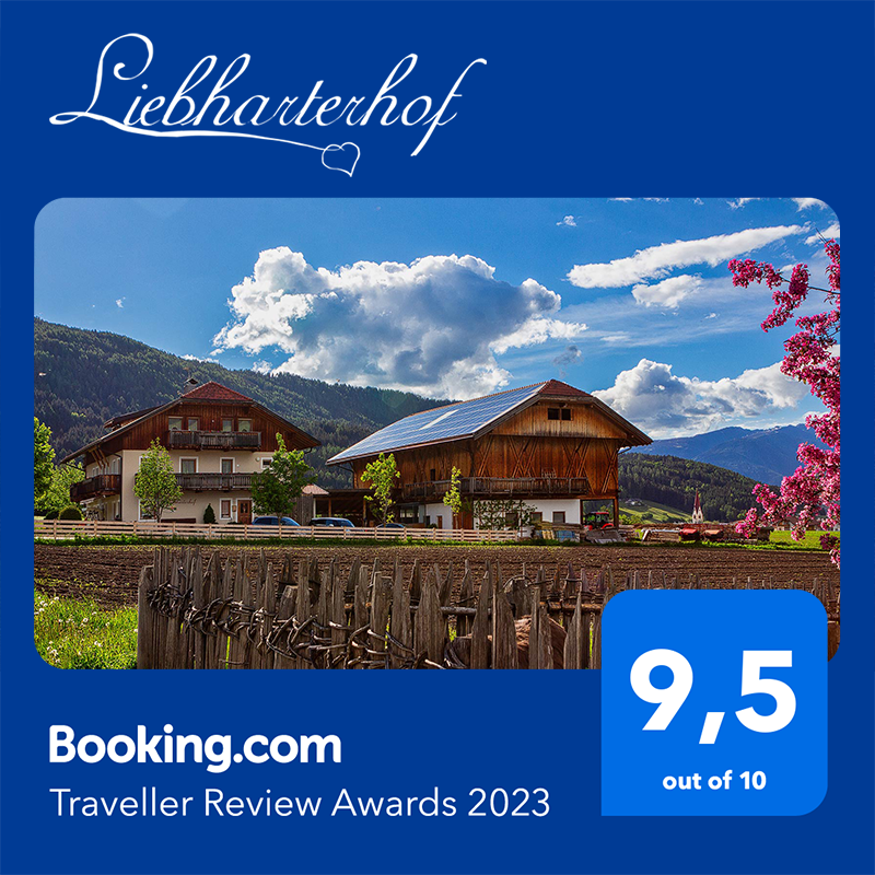 Booking Traveller Review Award