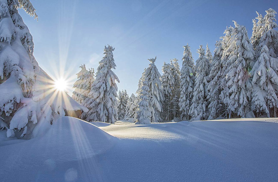 Informazioni vacanze invernali