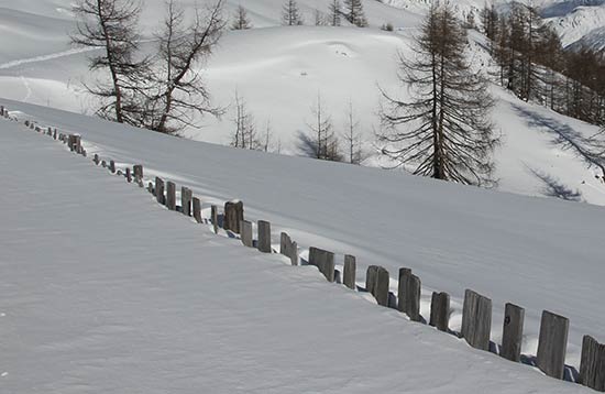 Sci alpinismo